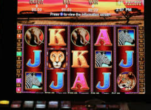 k·yun新网站登录下载app电脑免费版